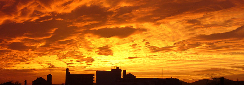 ���C���C���[�W�@�����T�C�YW800�~280px